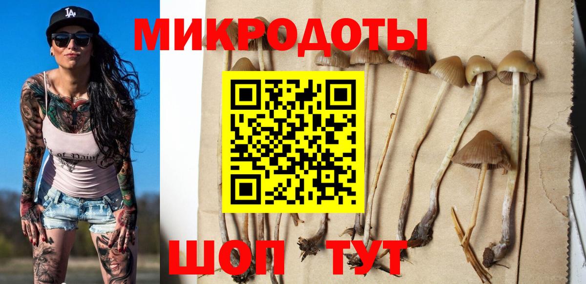 Галлюциногенные грибы ЛСД Усть-Джегута